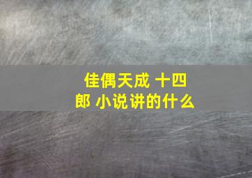 佳偶天成 十四郎 小说讲的什么